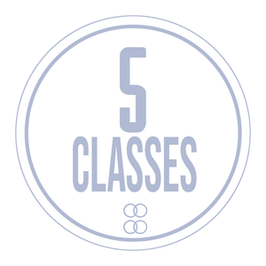 5 CLASS PASS (Aulas avulsas)